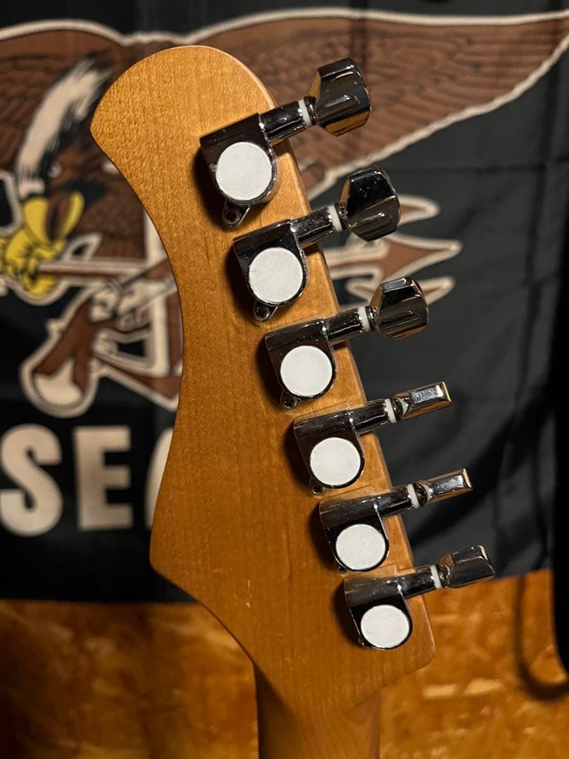 ギター Bacchus BJM-3-RSM/M DLPB