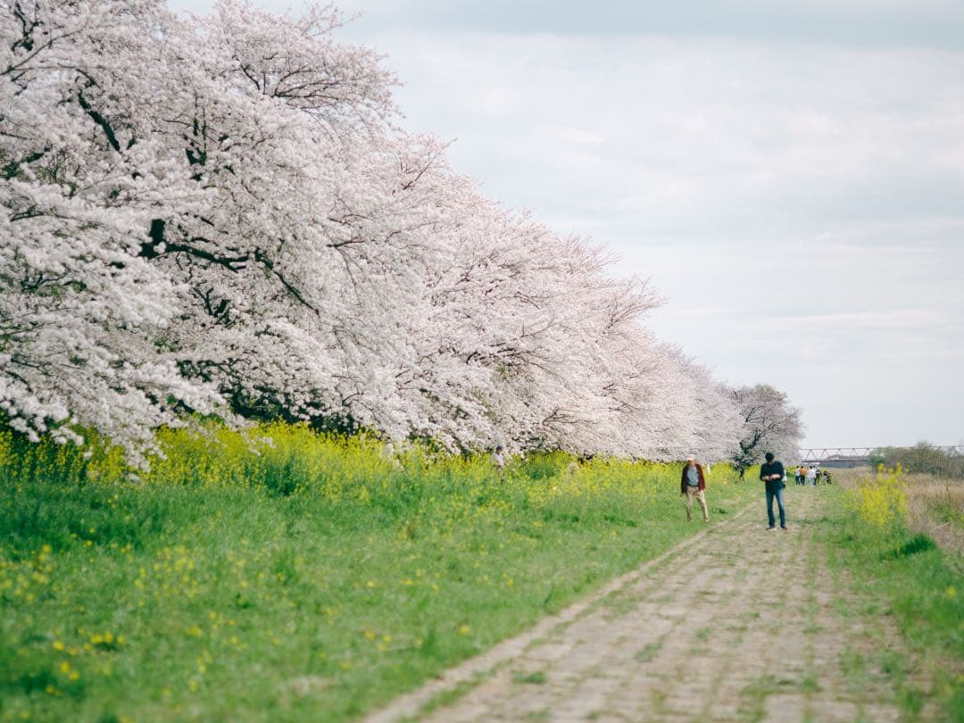レンズ(単焦点) SMC PENTAX 67 105mm f2.4