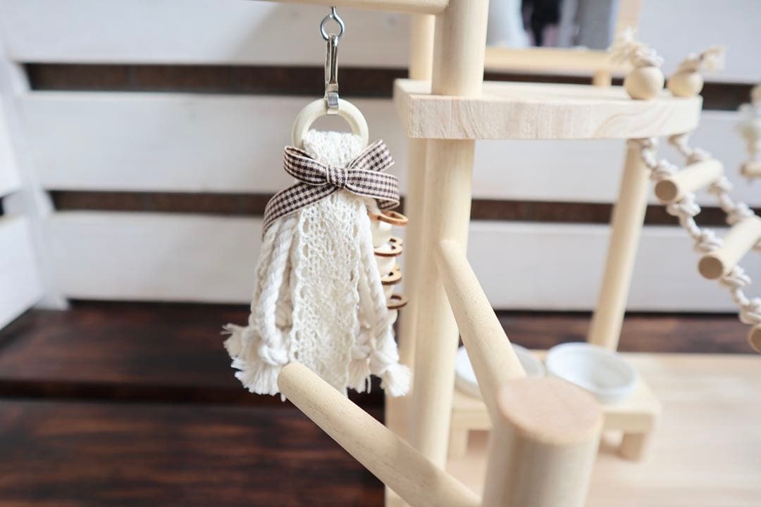 ことりのおおきなあそびば　文鳥　インコ　バードアスレチック　バードジム　ブランコ