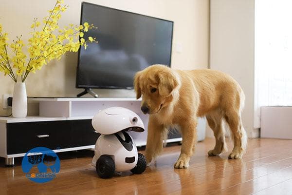 Dogness ペットボー（ペットのアイボ）白