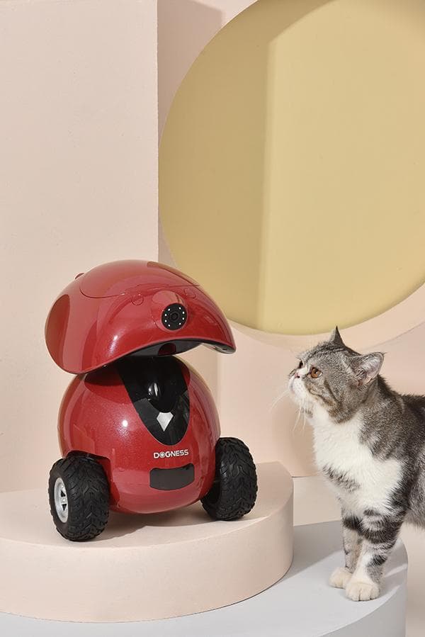 Dogness ペットボー（ペットのアイボ）白