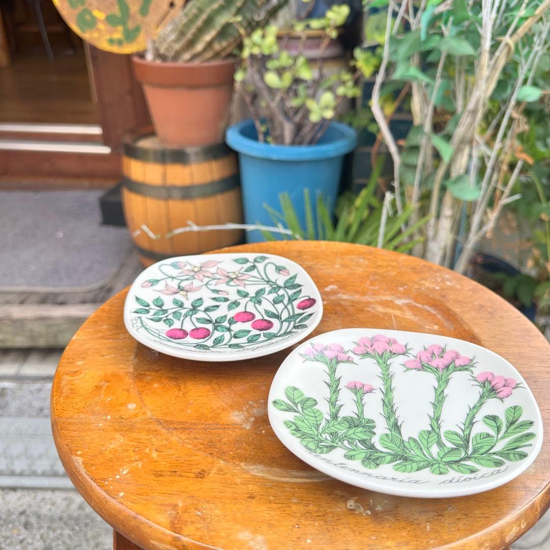 ARABIA ボタニカ エストリ トムラ プレートx2