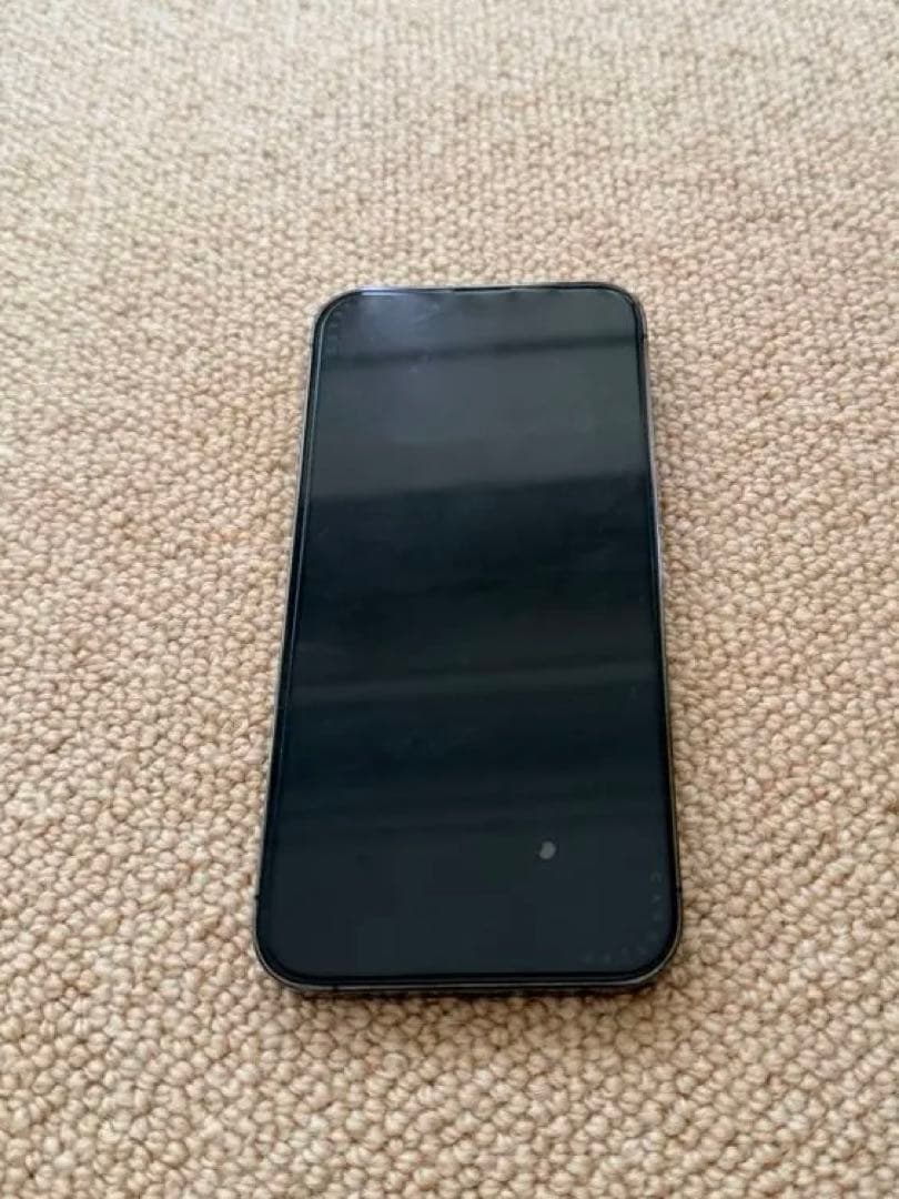 【台湾版：カメラ音なし】Apple iPhone 13 Pro 256GB