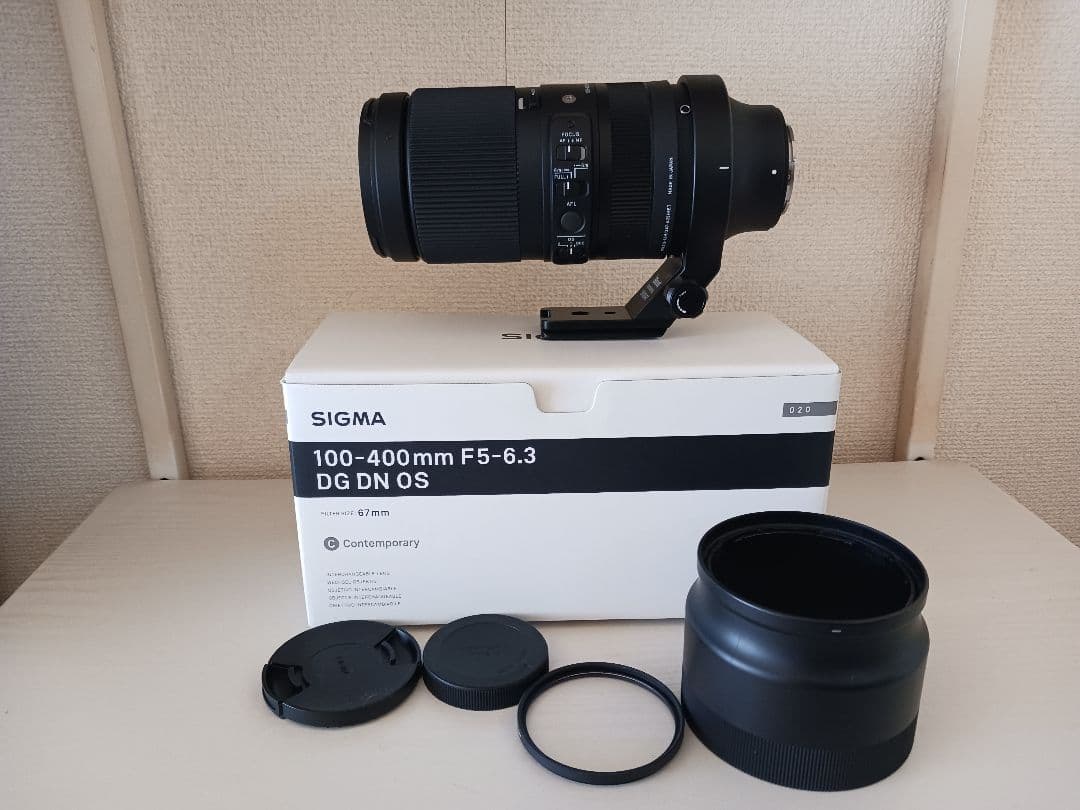 一日一歩シグマ 100-400mm F5-6.3 DG DN OS ソニー