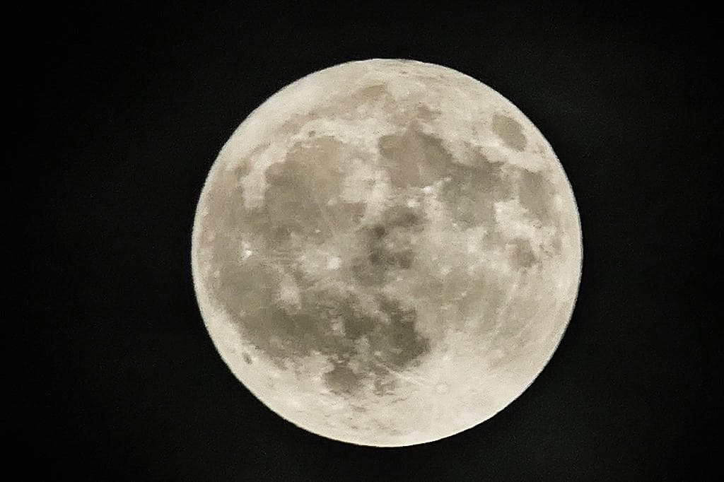 一日一歩シグマ 100-400mm F5-6.3 DG DN OS ソニー