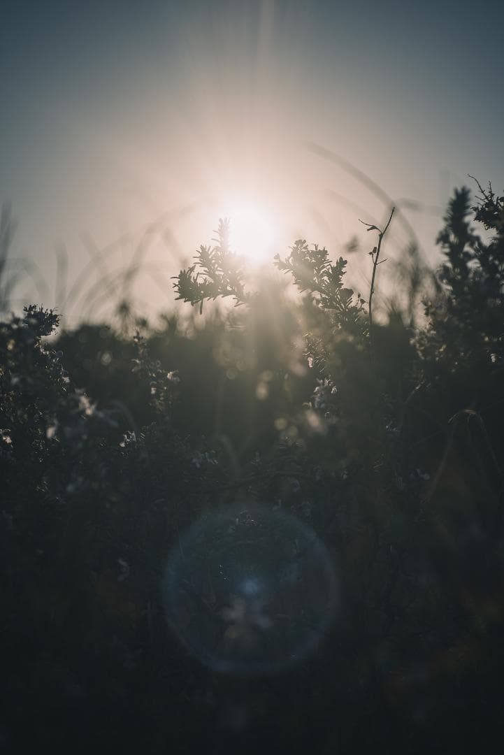 美品！赤エルマーダイヤ入！Redscale Elmar 50mm F3.5