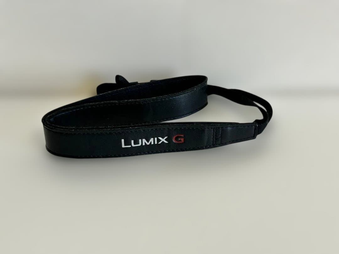 Panasonic LUMIX DC-G100V レンズ2本セット