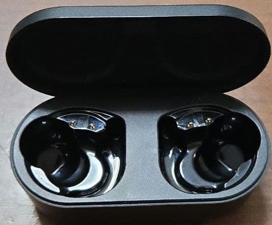 Denon PerL Pro 【付属品未使用】