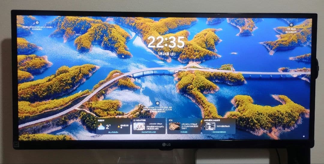 ウルトラワイドモニター 29UM68-P 29インチ【LG】