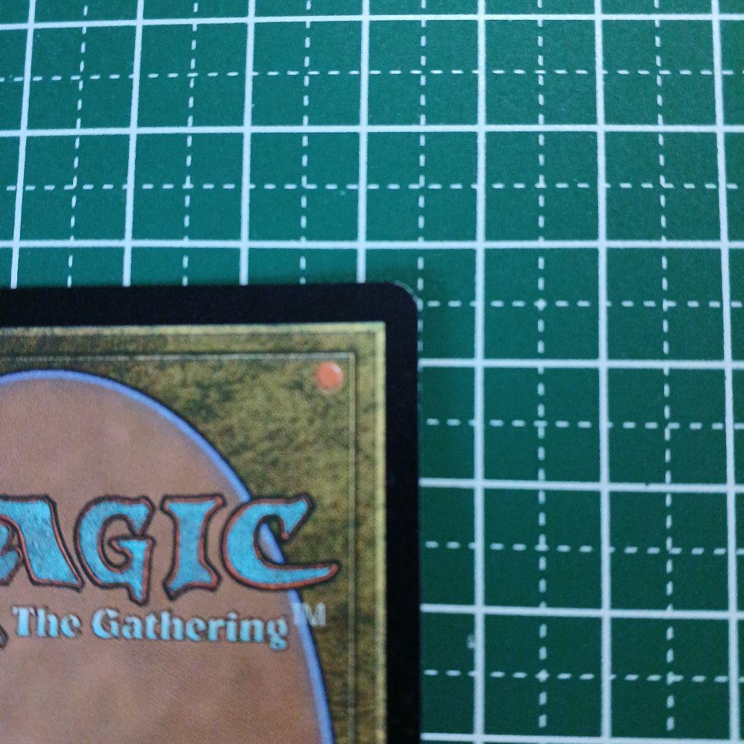 MTG　FF　スピラの希望、ユウナ　チョコボトラックfoil