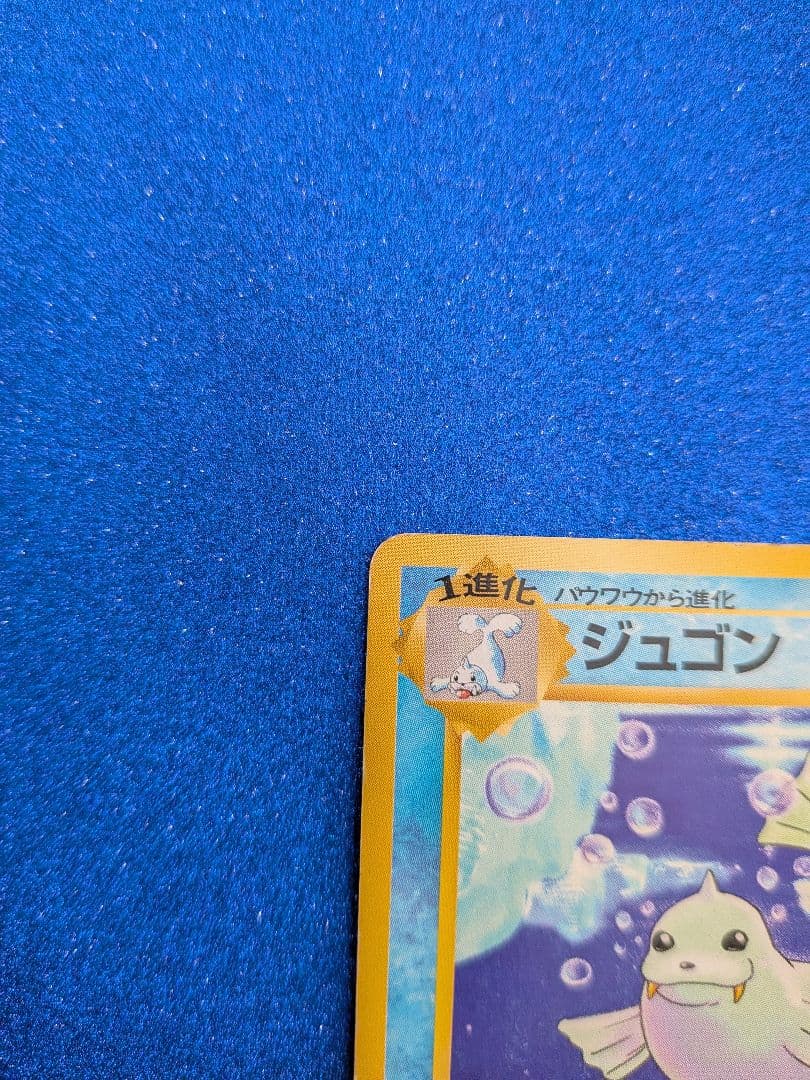 ポケモンカード ジュゴン HP80　旧裏
