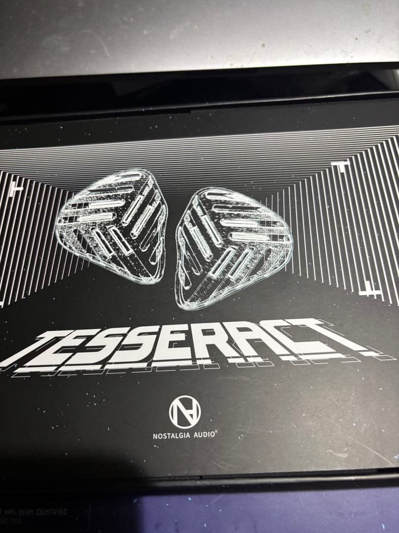 ノスタルジアオーディオ　TERRASTRUCT リケーブル可能イヤホン　美品