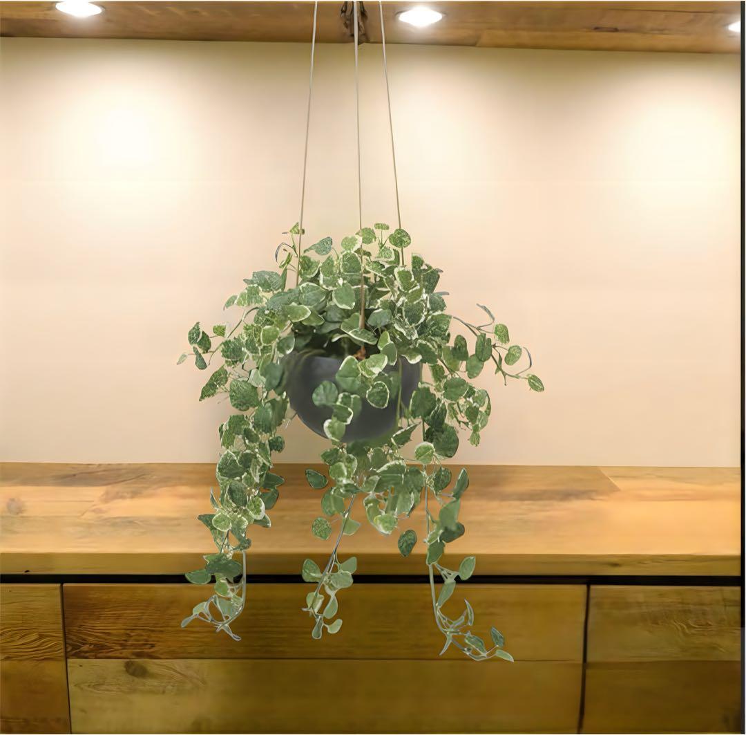 光触媒　人工観葉植物　ウォールグリーン　フェイクグリーン　プミラハンギング