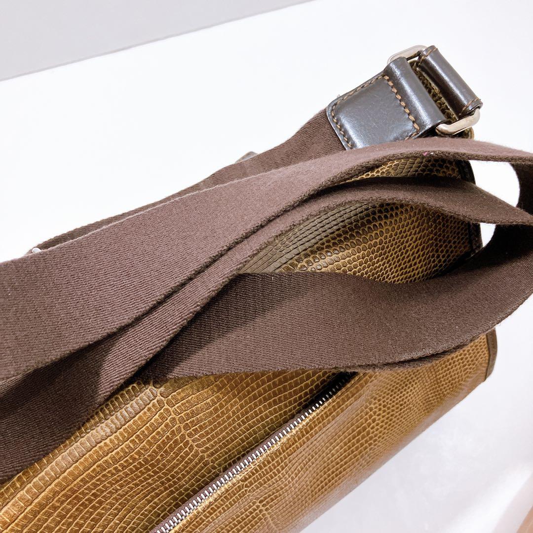 【逸品】ETRO レザー　メッセンジャー　ショルダーバッグ　蛇柄　型押し