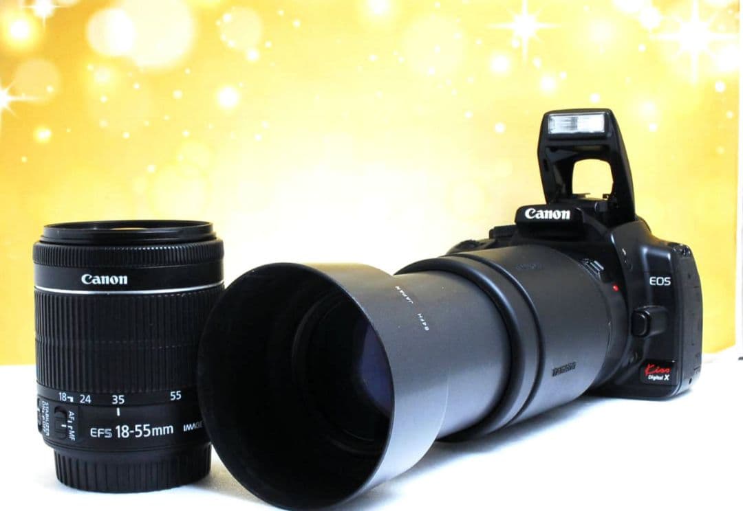 CANON　EOS　KissX　超望遠おまけレンズ　初心者　キャノン　手ブレ