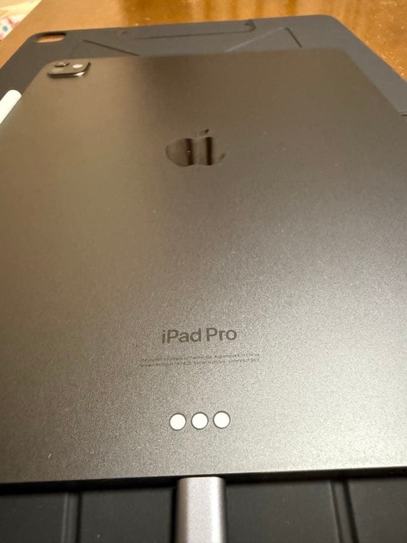 13インチiPad Pro(M4) 1TB ×Applepencil PRO
