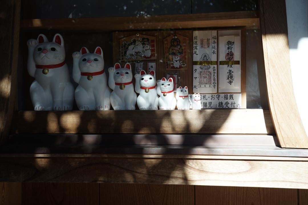 Zeiss Opton Sonnar 50mm f2 ＋マウントアダプター