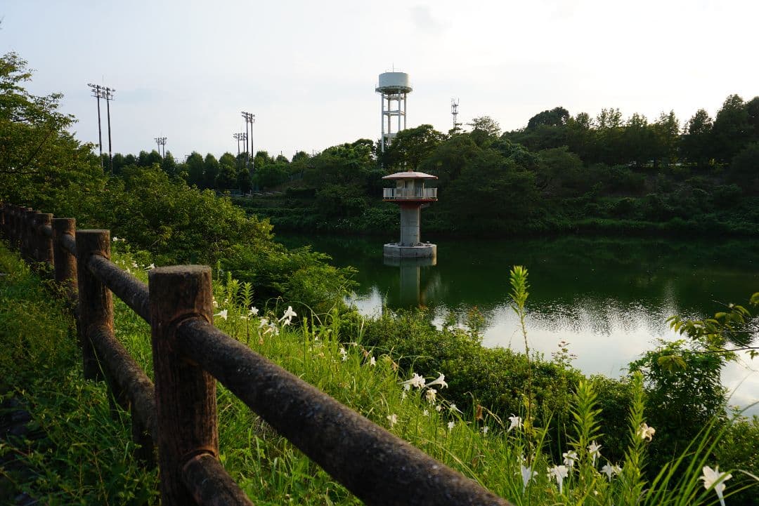 SONY α5100 ホワイト E 16-50mm