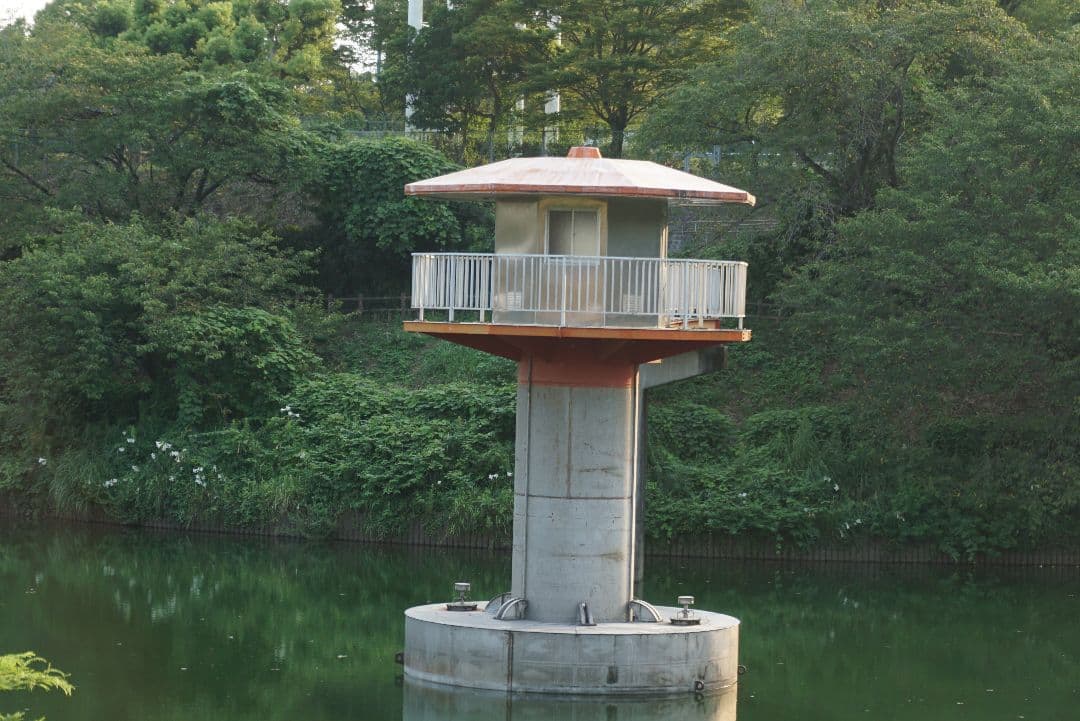 SONY α5100 ホワイト E 16-50mm