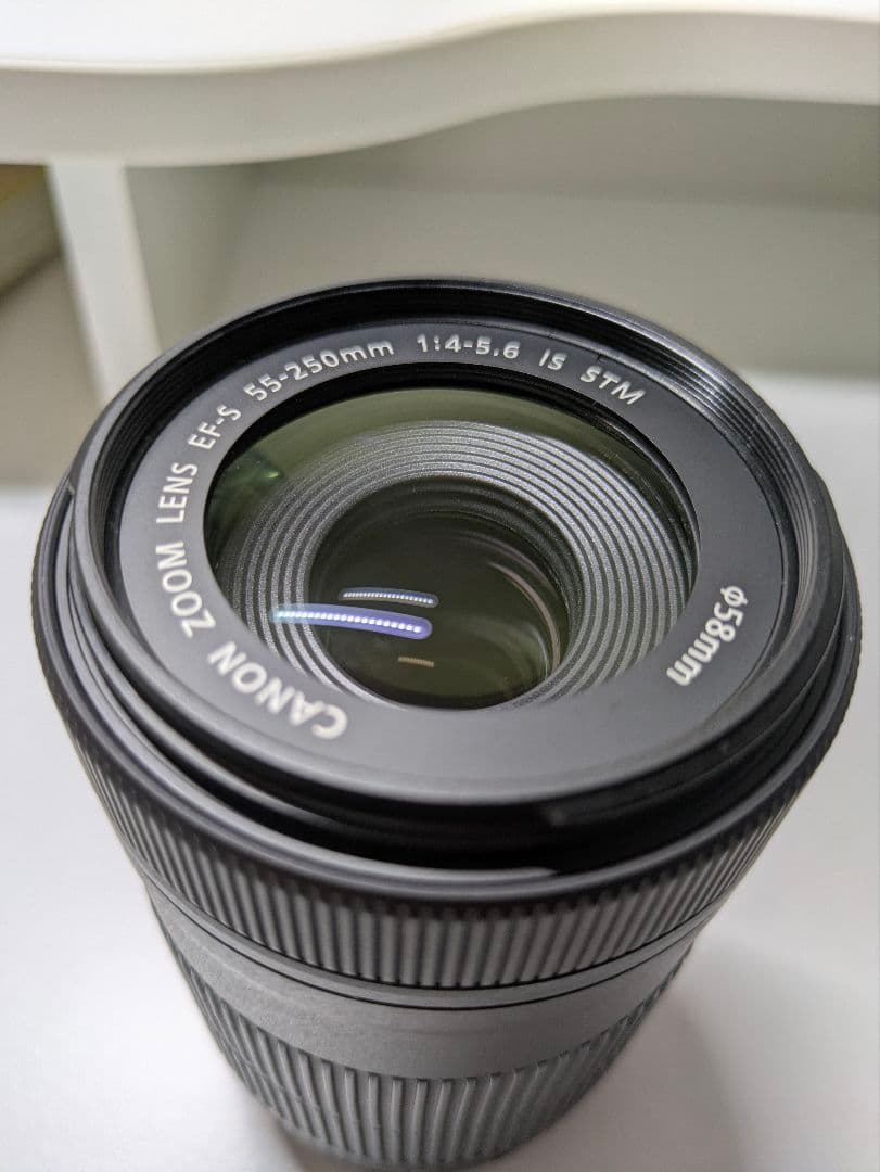 Canon EF-S55-250mm F4-5.6 IS STM (ノボル様)