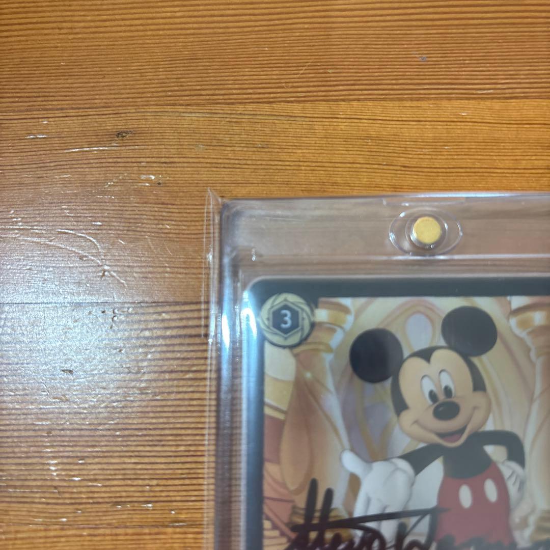 rainbow33　ロルカナ　スティーブワーナー　直筆サイン入カード