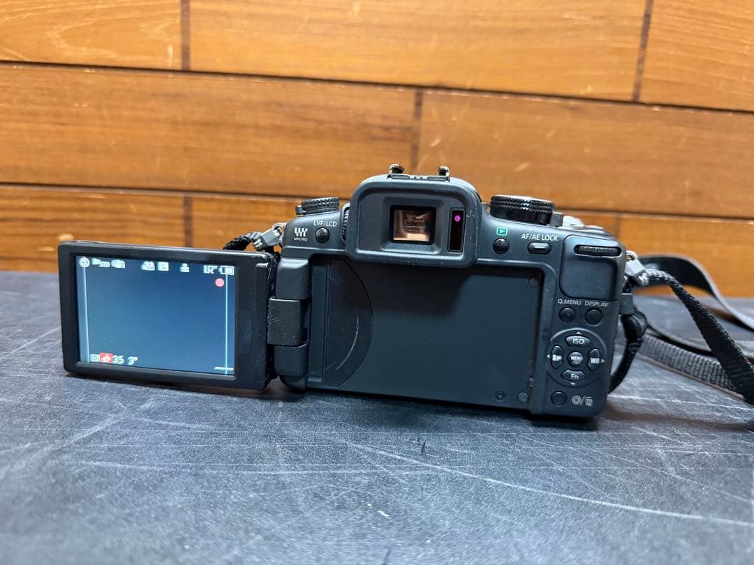 Panasonic LUMIX G2 DMC-G2 レンズキット