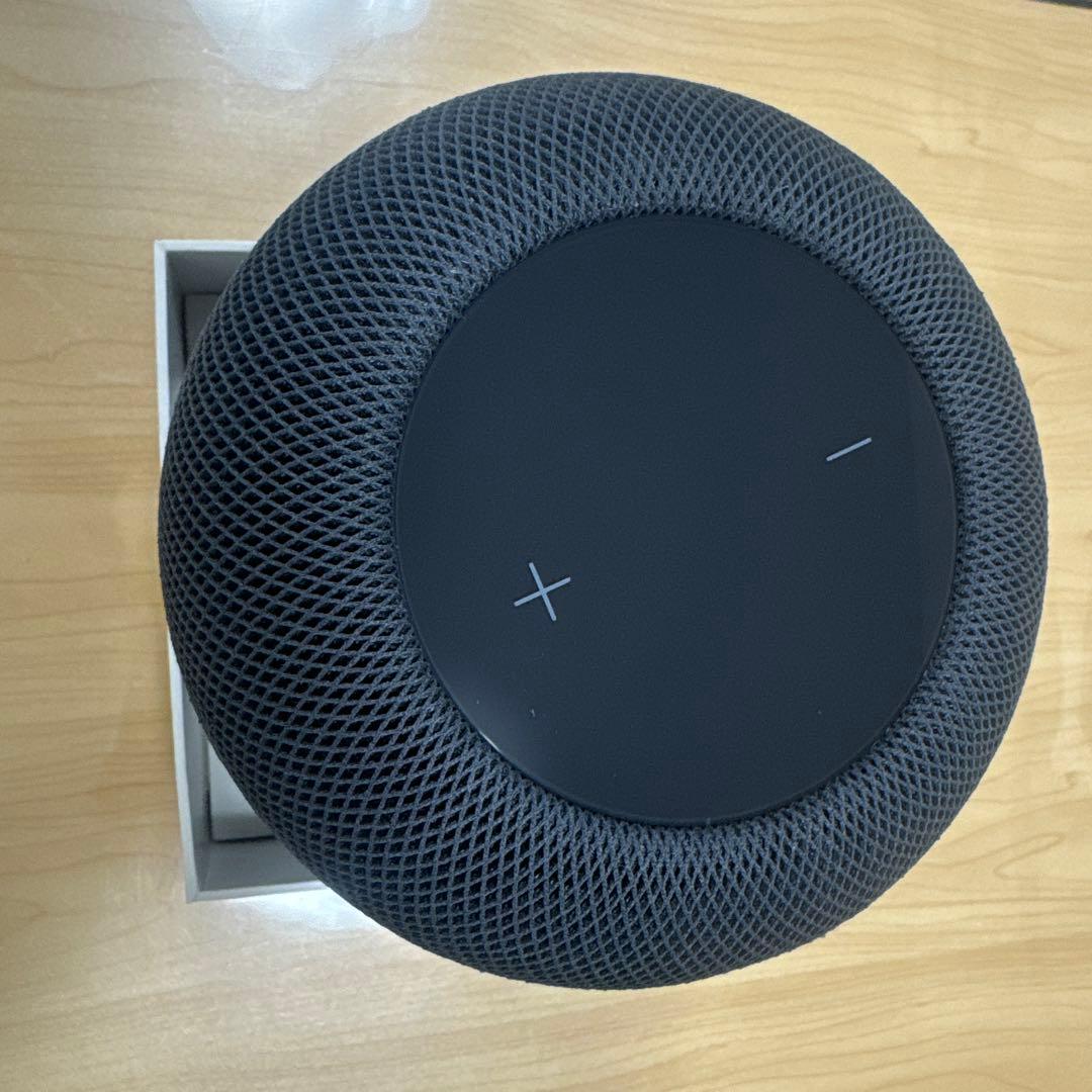 Apple Pod 第2世代（ブラック）