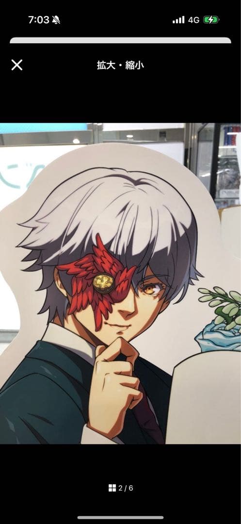 特急納期1/8　ウィッグオーダー