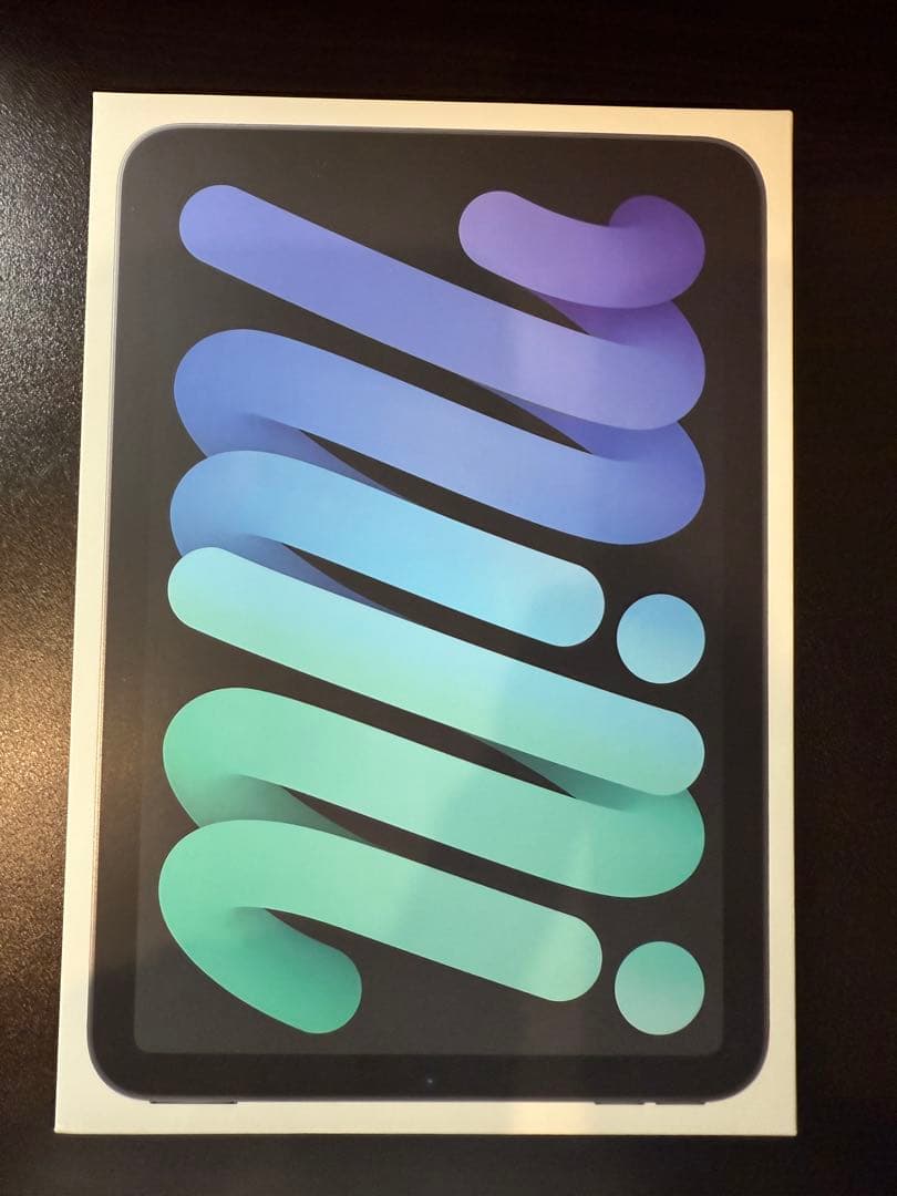 iPad本体 iPad mini (A17 Pro) 256GB Wi-Fi