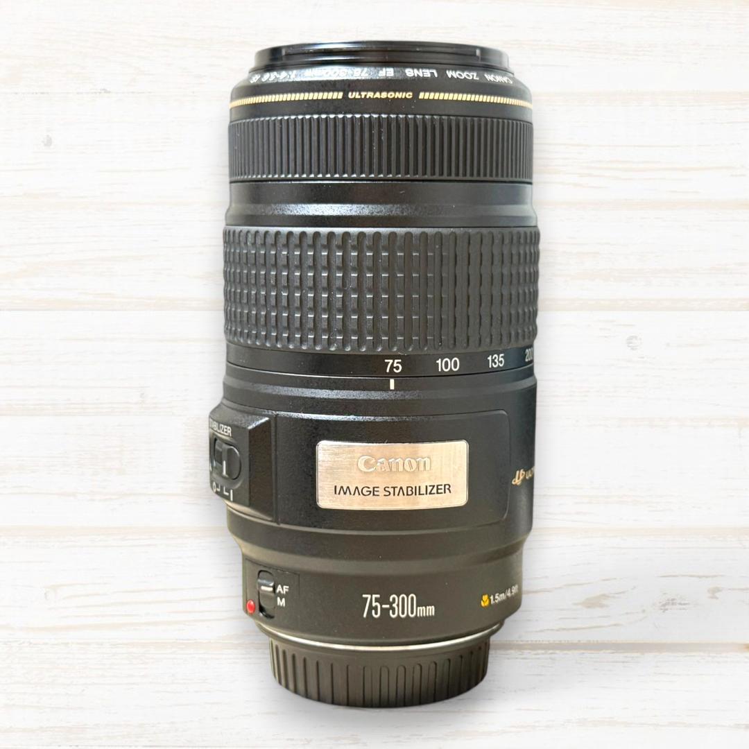 Canon 望遠レンズ EF 75-300mm IS USM #137