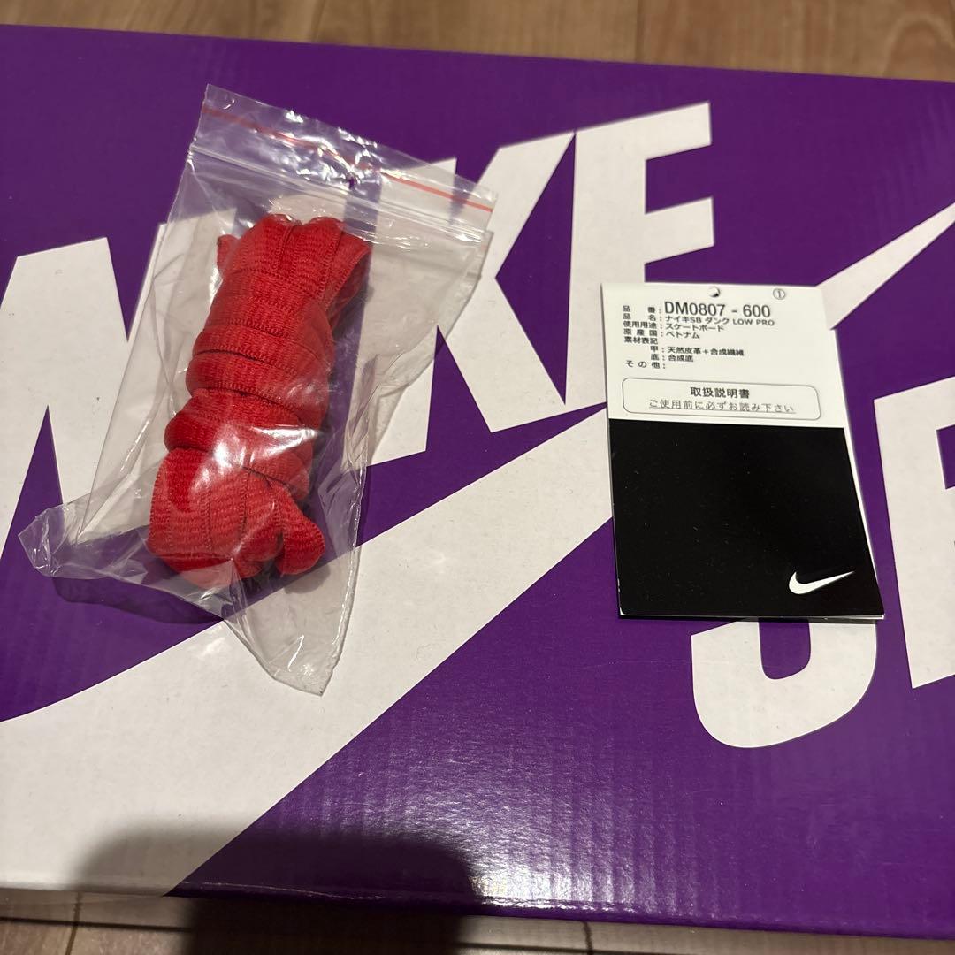 の*ぶ様 NIKE DUNK SB