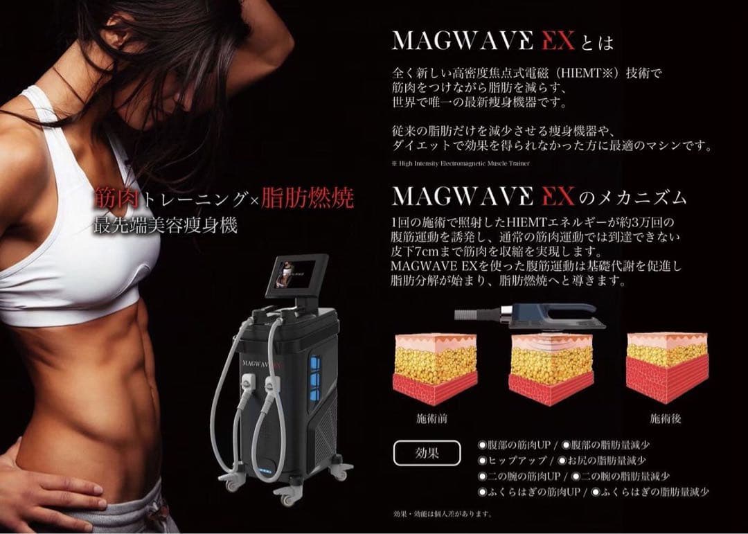 お正月割引　電磁パルス痩身　MAGWAVE EX 骨盤底筋トレーニング