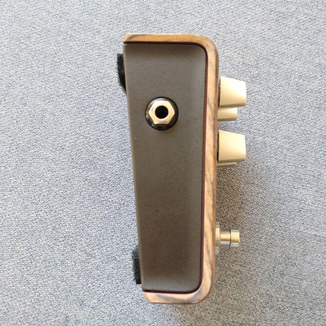 L.R. Baggs Align Series CHORUS 保証書付属