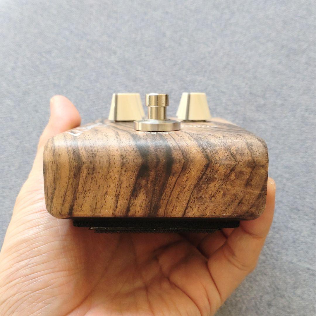 L.R. Baggs Align Series CHORUS 保証書付属