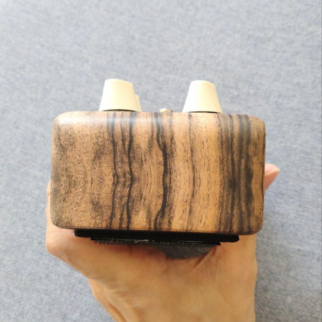 L.R. Baggs Align Series CHORUS 保証書付属