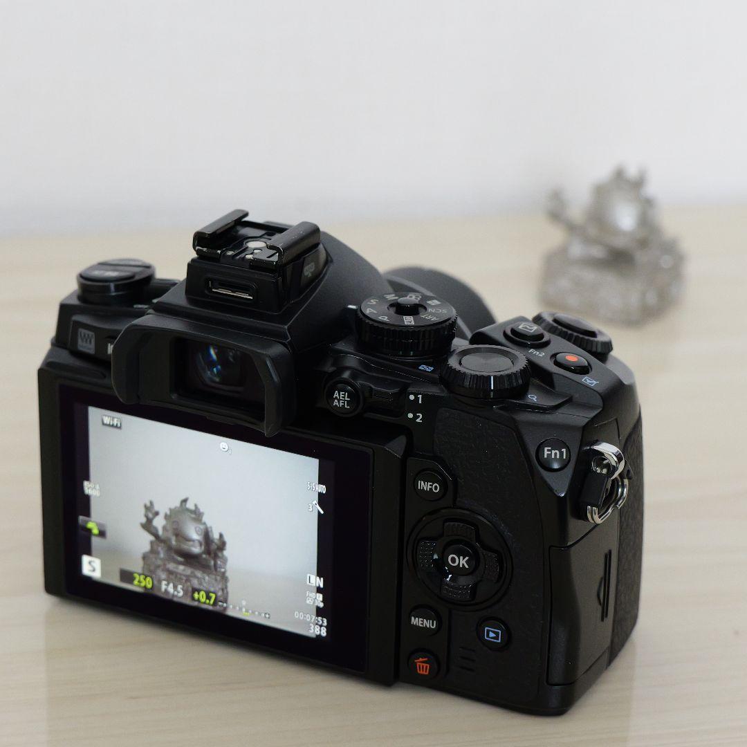 【僅か4602ショット】OLYMPUS OM-D E-M1 レンズキット