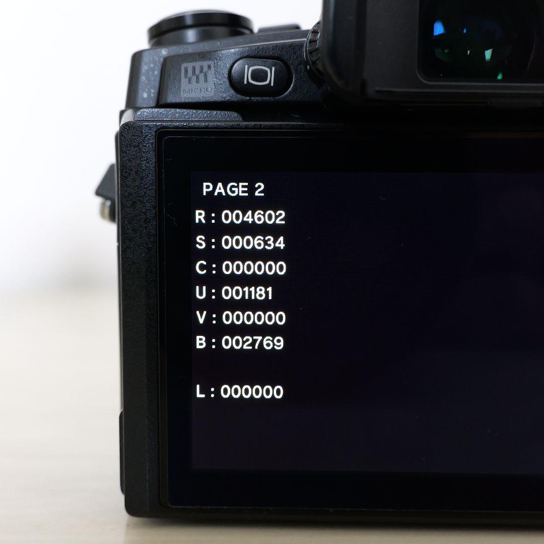 【僅か4602ショット】OLYMPUS OM-D E-M1 レンズキット