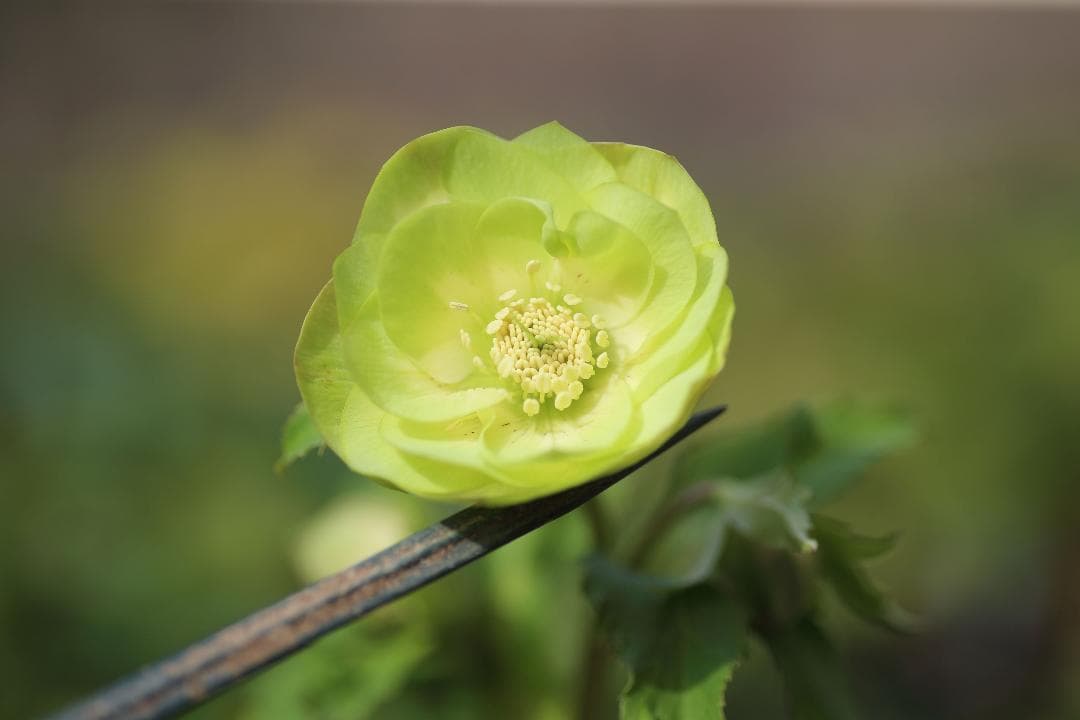 トックン様 リクエスト 3点 まとめ商品