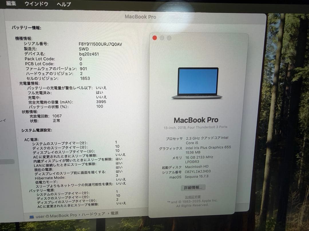 MacBook Pro 2018 13インチi5 16/512GB Win11