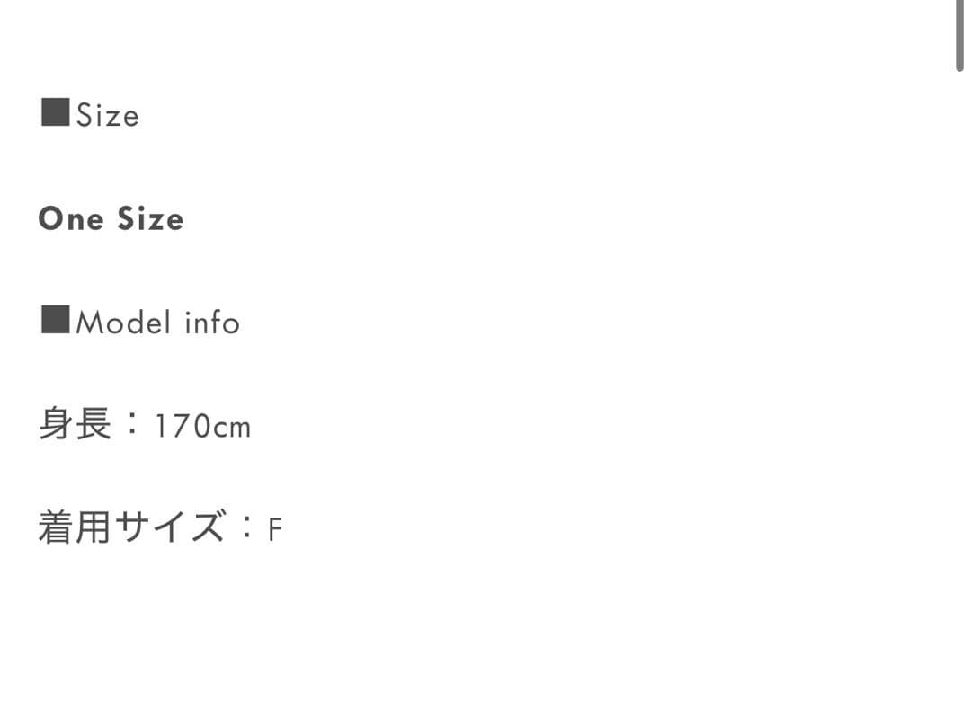 Urban Sheek ボストンバッグ