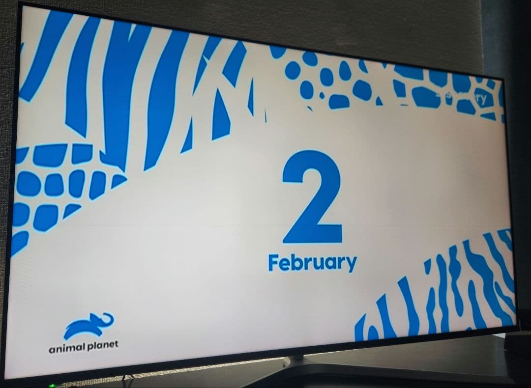 hisense 65u7e ハイセンス 65インチ 4Kテレビ B-cas付