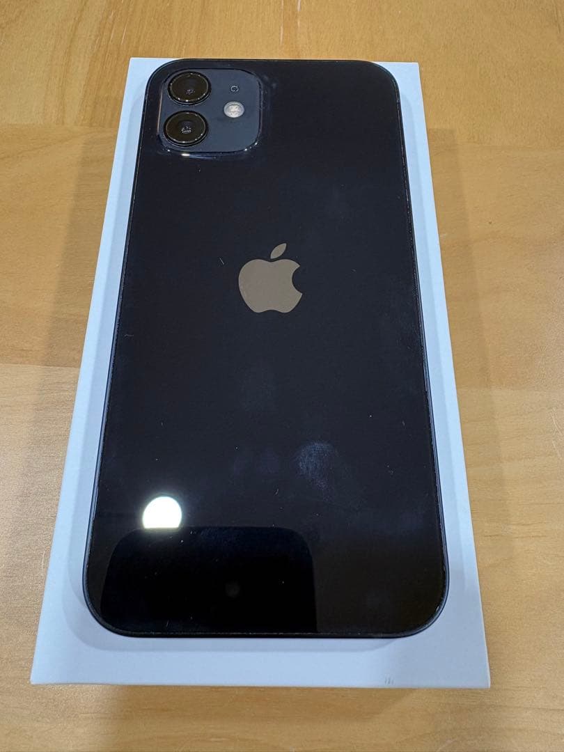 【美品】Apple iPhone 12 64GB ブラック（付属品完備）