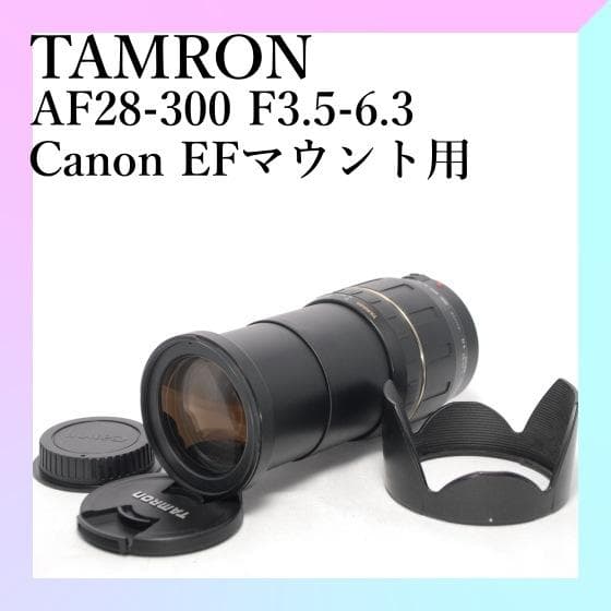 ⭐️広角～望遠まで⭐️TAMRON 28-300mm F3.5-6.3 マクロ