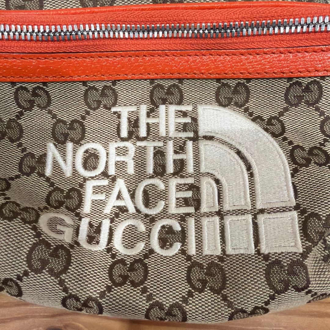 【入手困難　超美品】THE NORTH FACE x GUCCI コラボ