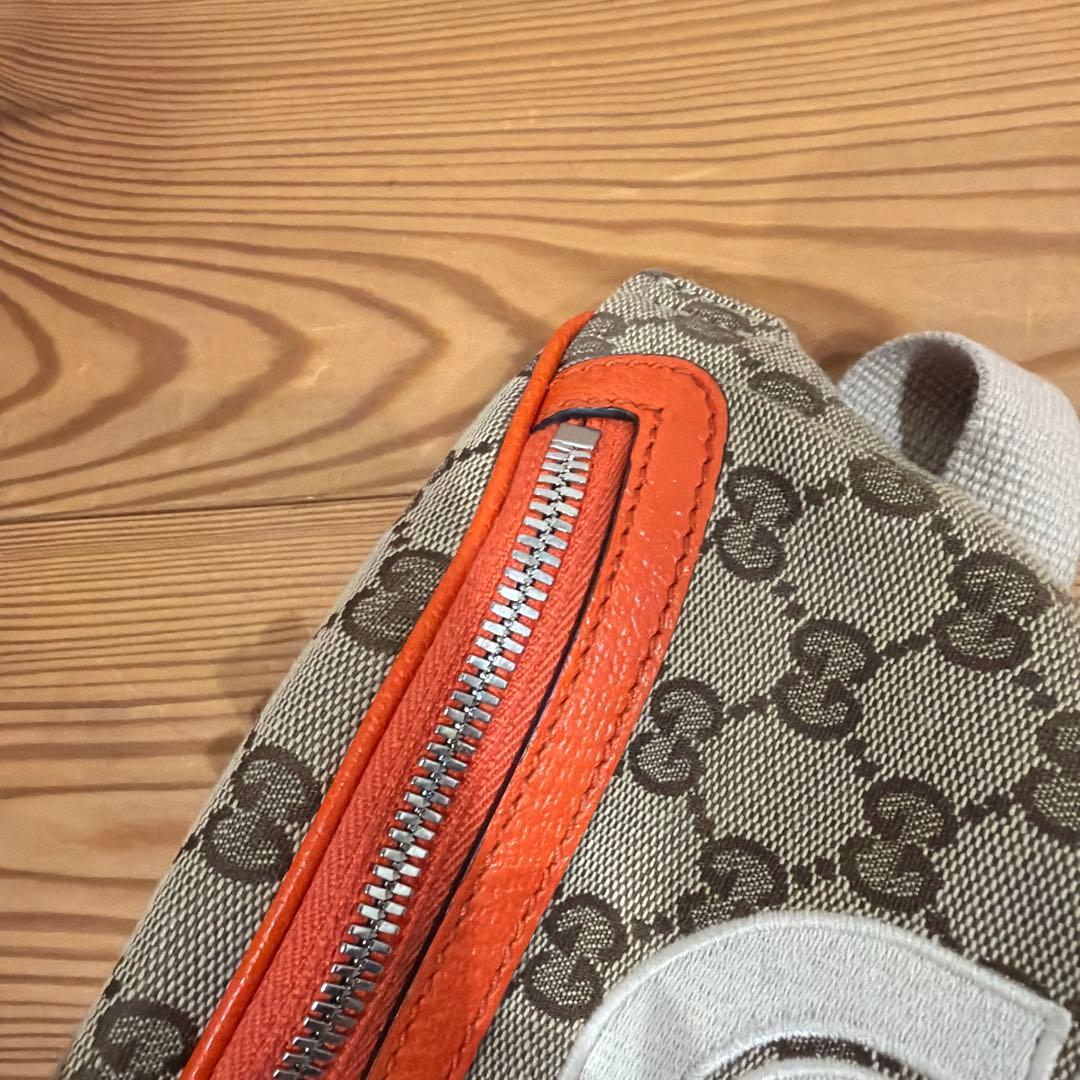 【入手困難　超美品】THE NORTH FACE x GUCCI コラボ