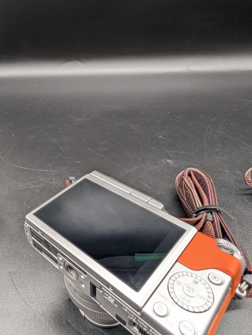 Panasonic LUMIX G ミラーレス一眼カメラ DC-GF9