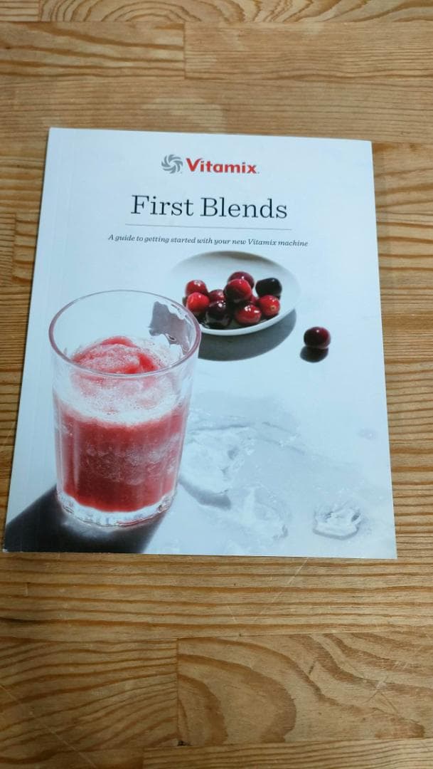 【美品】バイタミックス E520 ブラック　保証書あり　1624