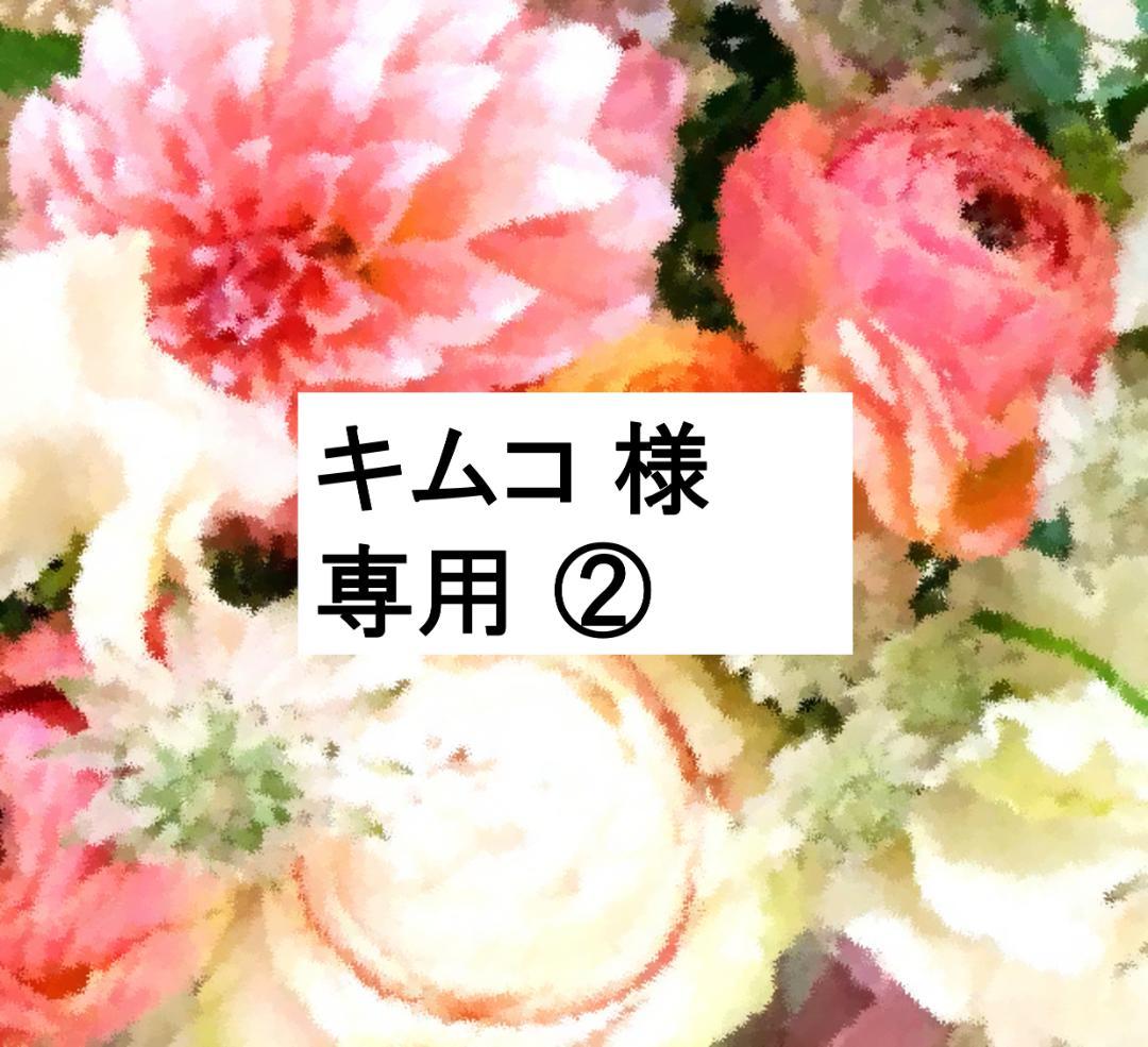 キムコ ② 5％オフ 2023年1月 お手頃 フルセット　DWE 最新版