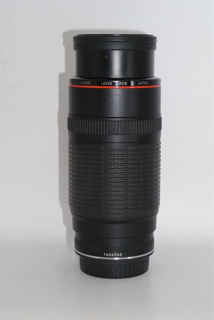 レンズ(ズーム) EF100-300mm L