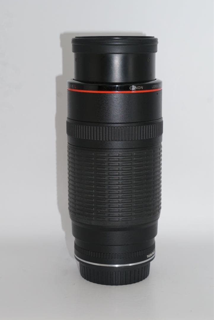 レンズ(ズーム) EF100-300mm L